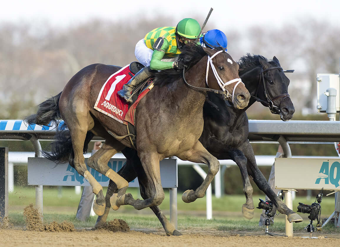 2022 Belmont Stakes Betting Odds, Horse Racing Preview