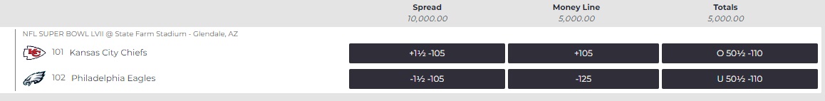 How to Bet on Sports: Betting Line