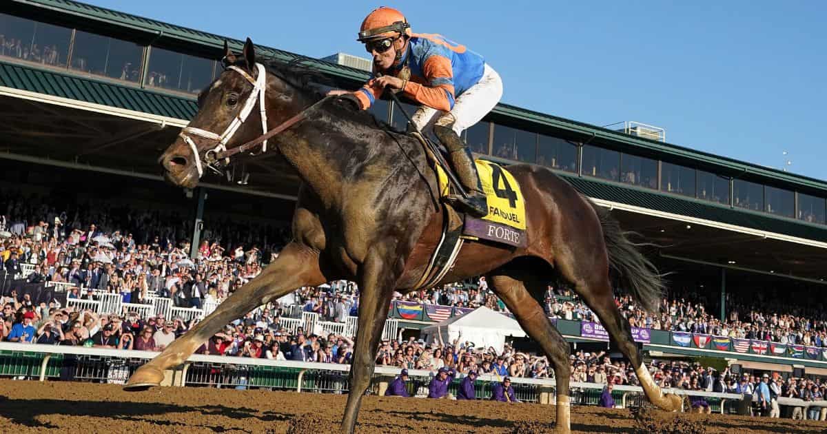 2023 Kentucky Derby Odds Predictions Contenders 