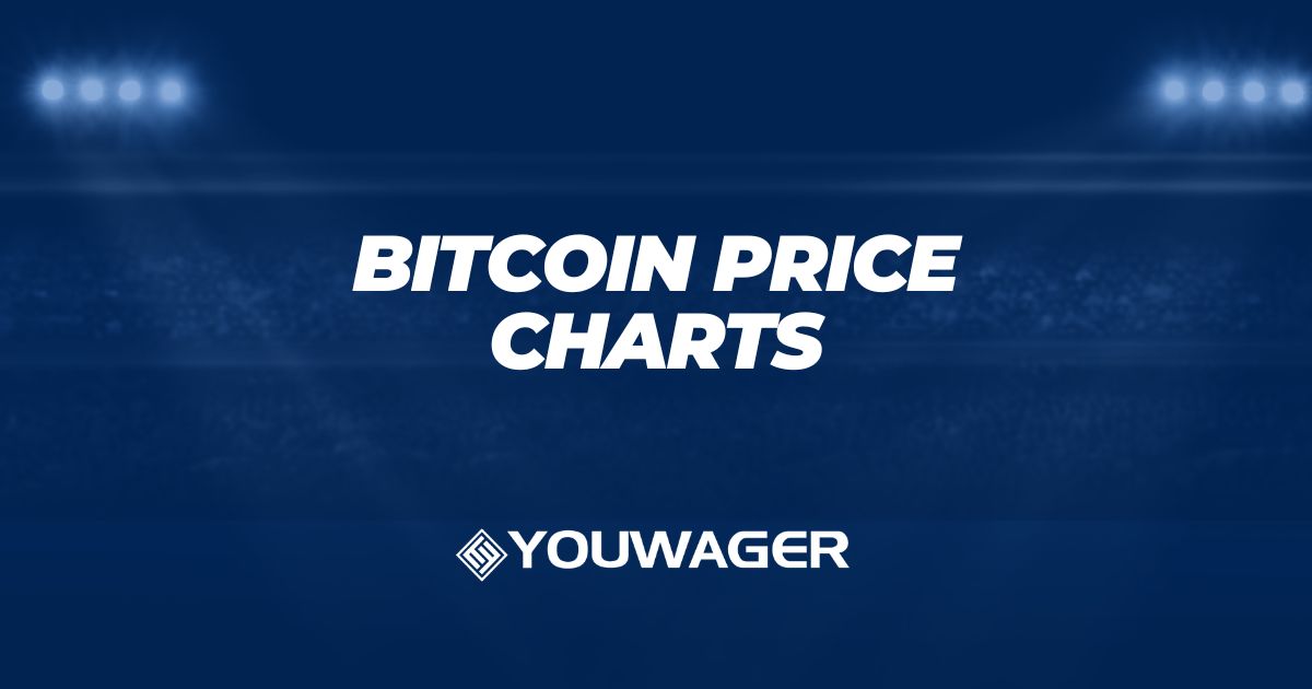 Understanding Bitcoin Price Charts