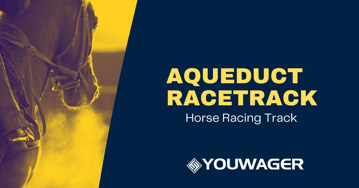 Aqueduct Racetrack: Off Track Betting Horse Racing Tracks