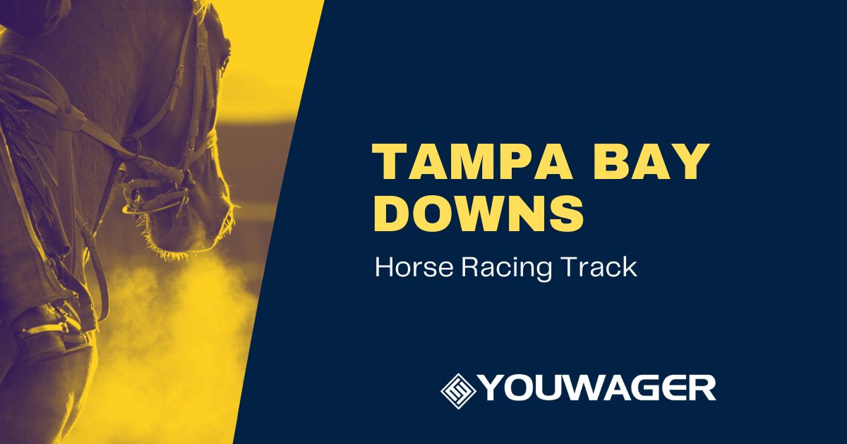 Tampa Bay Downs: Off Track Betting Horse Racing Tracks