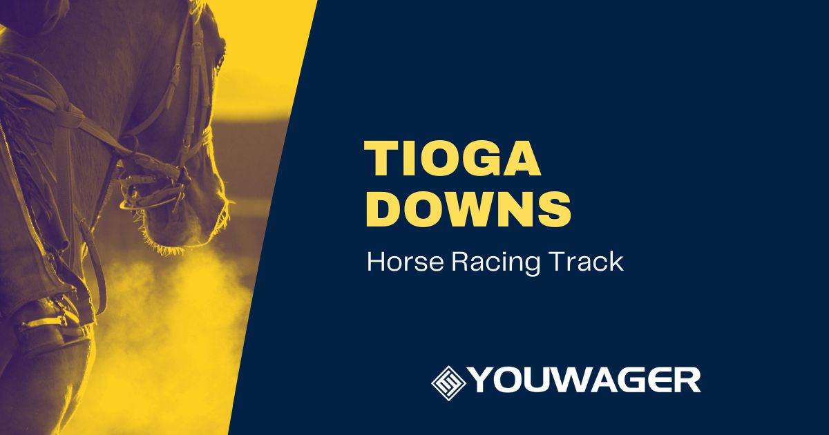 Tioga Downs: Off Track Betting Horse Racing Tracks