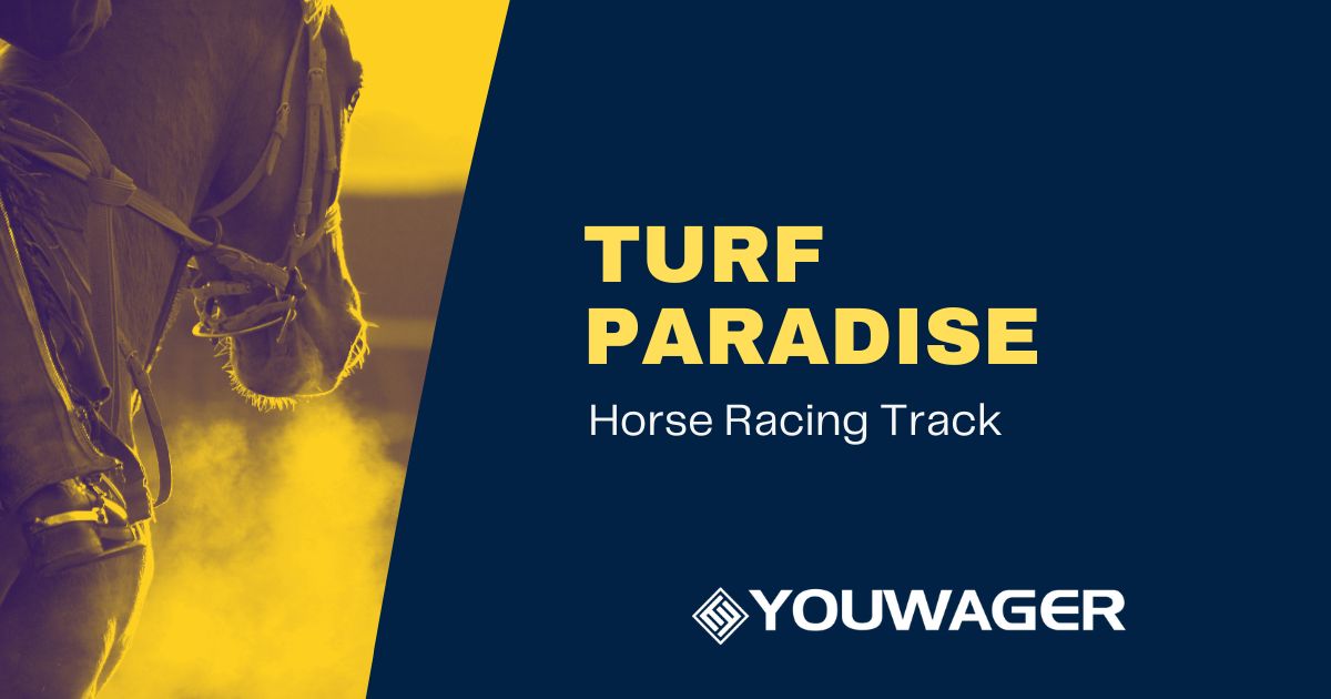 Turf Paradise: Off Track Betting Horse Racing Tracks