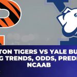 Princeton Tigers vs Yale Bulldogs Betting Trends, Odds, Prediction | NCAAB