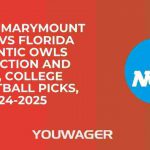 Loyola Marymount Lions vs Florida Atlantic Owls Prediction and Pick, College Basketball Picks, 11-24-2025