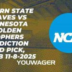 Alcorn State Braves vs Minnesota Golden Gophers Prediction and Pick, NCAAB 11-8-2025