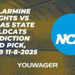 Bellarmine Knights vs Kansas State Wildcats Prediction and Pick, NCAAB 11-8-2025
