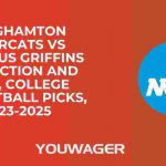 Binghamton Bearcats vs Canisius Griffins Prediction and Pick, College Basketball Picks, 11-23-2025