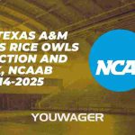 East Texas A&M Lions vs Rice Owls Prediction and Pick, NCAAB 11-14-2025