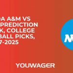 Florida A&M vs Georgia Prediction and Pick, College Basketball Picks, 11-17-2025