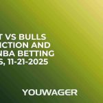 Heat vs Bulls Prediction and Pick, NBA Betting Picks, 11-21-2025