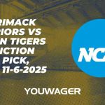 Merrimack Warriors vs Auburn Tigers Prediction and Pick, NCAAB 11-6-2025