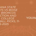 Montana State Bobcats vs Boise State Broncos Prediction and Pick, College Basketball Picks, 11-15-2025
