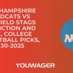 New Hampshire Wildcats vs Fairfield Stags Prediction and Pick, College Basketball Picks, 11-30-2025