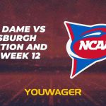 Notre Dame vs Pittsburgh Prediction and Pick, Week 12