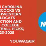 South Carolina Gamecocks vs Northwestern Wildcats Prediction and Pick, College Basketball Picks, 11-23-2025