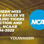 Southern Miss Golden Eagles vs Grambling Tigers Prediction and Pick, NCAAB 11-14-2025