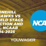 Stonehill Skyhawks vs Fairfield Stags Prediction and Pick, NCAAB 11-14-2025