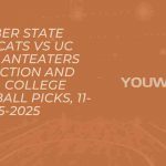 Weber State Wildcats vs UC Irvine Anteaters Prediction and Pick, College Basketball Picks, 11-15-2025