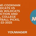 Bethune-Cookman Wildcats vs Arizona Wildcats Prediction and Pick, College Basketball Picks, 12-22-2025
