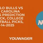 Buffalo Bulls vs East Carolina Pirates Prediction and Pick, College Basketball Picks, 12-14-2025