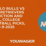 Buffalo Bulls vs UMBC Retrievers Prediction and Pick, College Basketball Picks, 12-9-2025