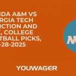 Florida A&M vs Georgia Tech Prediction and Pick, College Basketball Picks, 12-28-2025