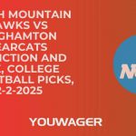 Lehigh Mountain Hawks vs Binghamton Bearcats Prediction and Pick, College Basketball Picks, 12-2-2025