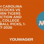 South Carolina Gamecocks vs Auburn Tigers Prediction and Pick, College Basketball Picks, 1-17-2026