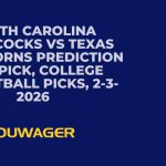 South Carolina Gamecocks vs Texas Longhorns Prediction and Pick, College Basketball Picks, 2-3-2026