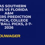 Texas Southern Tigers vs Florida A&M Rattlers Prediction and Pick, College Basketball Picks, 2-7-2026
