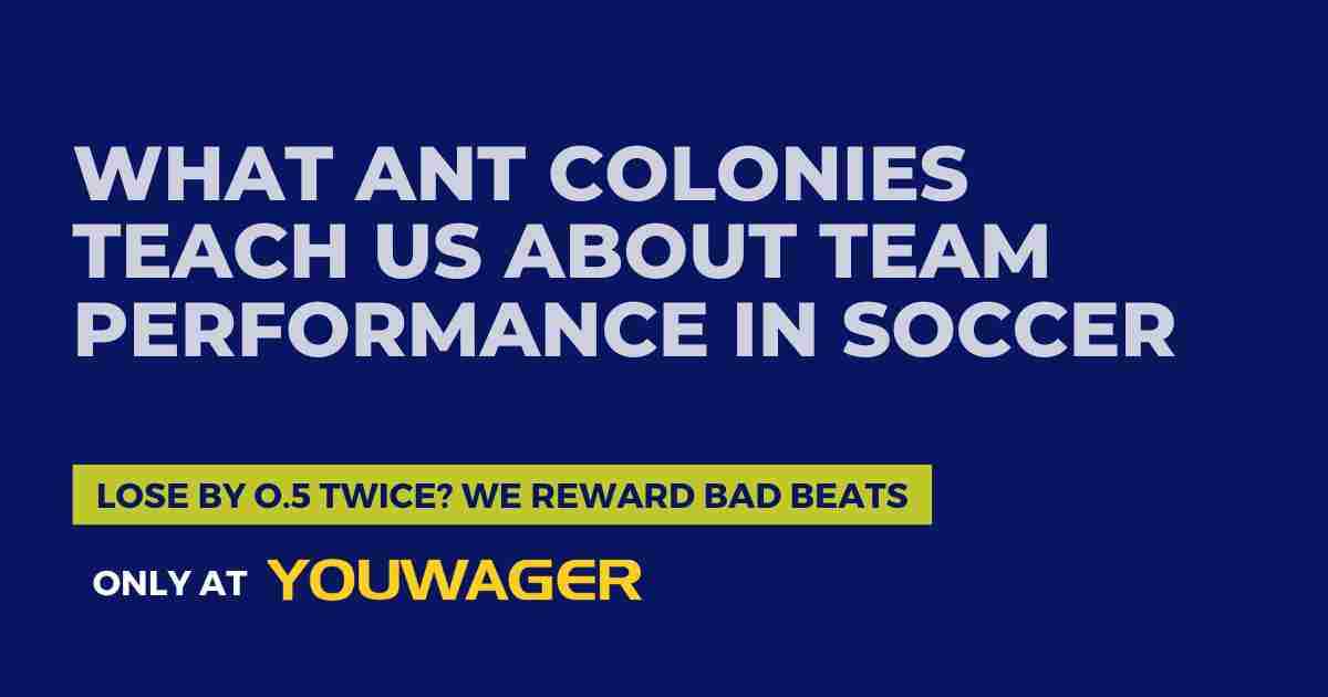What Ant Colonies Teach Us About Team Performance in Soccer