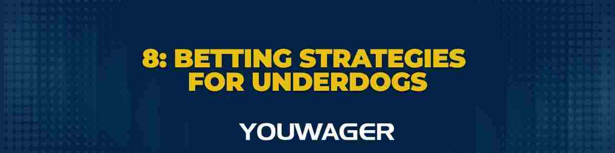 Panthers vs Browns Betting Prediction 8 Betting Strategies for Underdogs